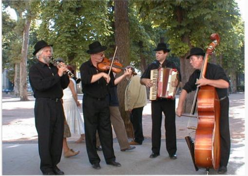 Chanteurs musiciens